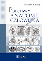 Podstawy anatomii człowieka